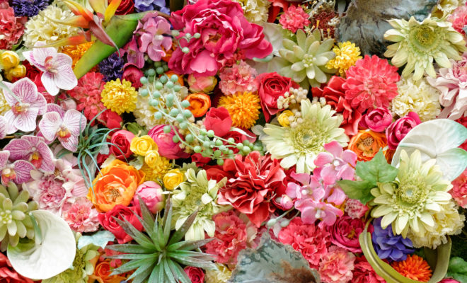 吉祥寺の花屋さん12選を紹介 サブカルの街で花を買う 吉祥寺時間