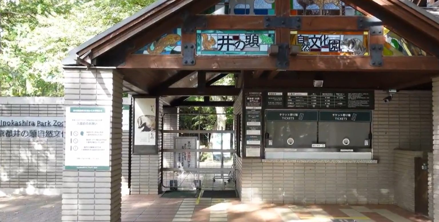 吉祥寺の動物園「井の頭自然文化園」を紹介! 吉祥寺ってこんな街 吉祥寺の動物園「井の頭自然文化園」を紹介! 吉祥寺ってこんな街
