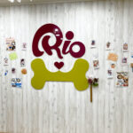 犬カフェ「Rio」吉祥寺店
