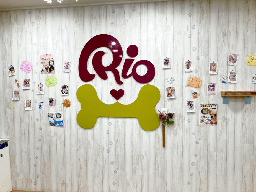 犬カフェ「Rio」吉祥寺店