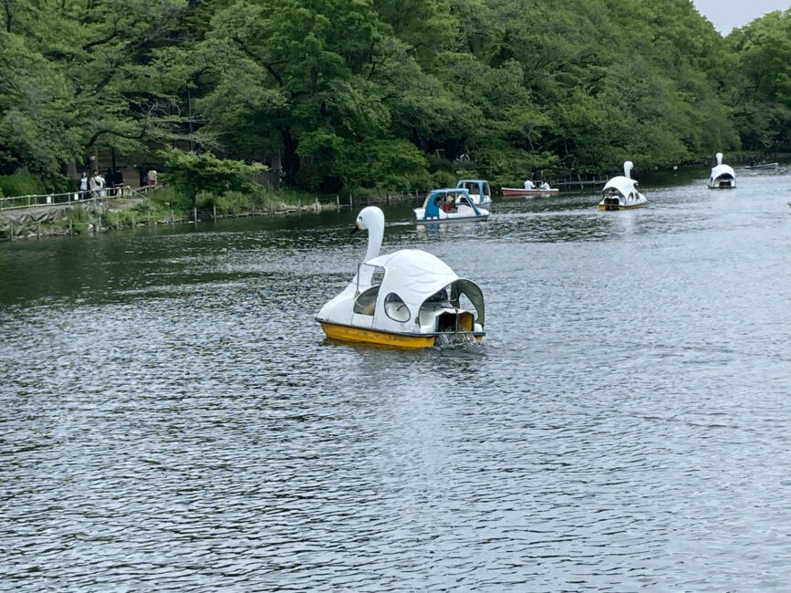井の頭公園のボート