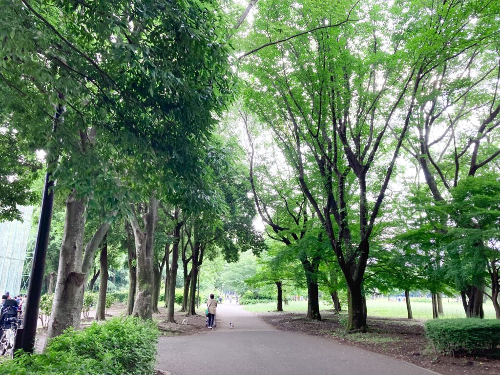 小金井公園の自然
