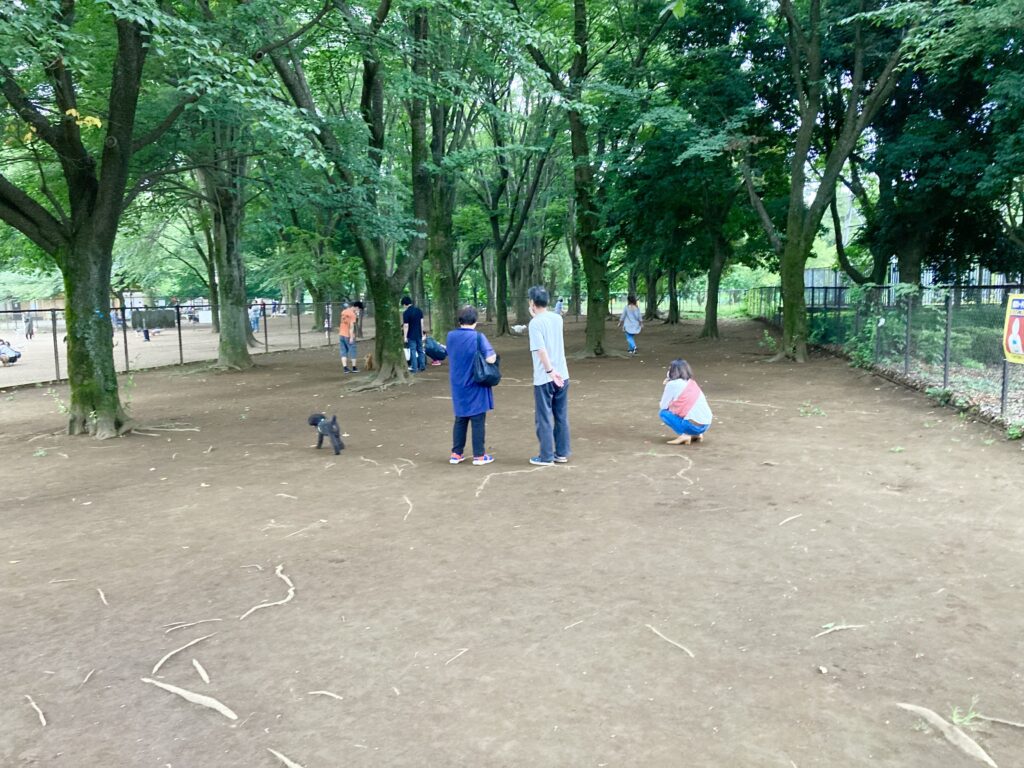 小金井公園ドッグランの小型犬エリア内部①
