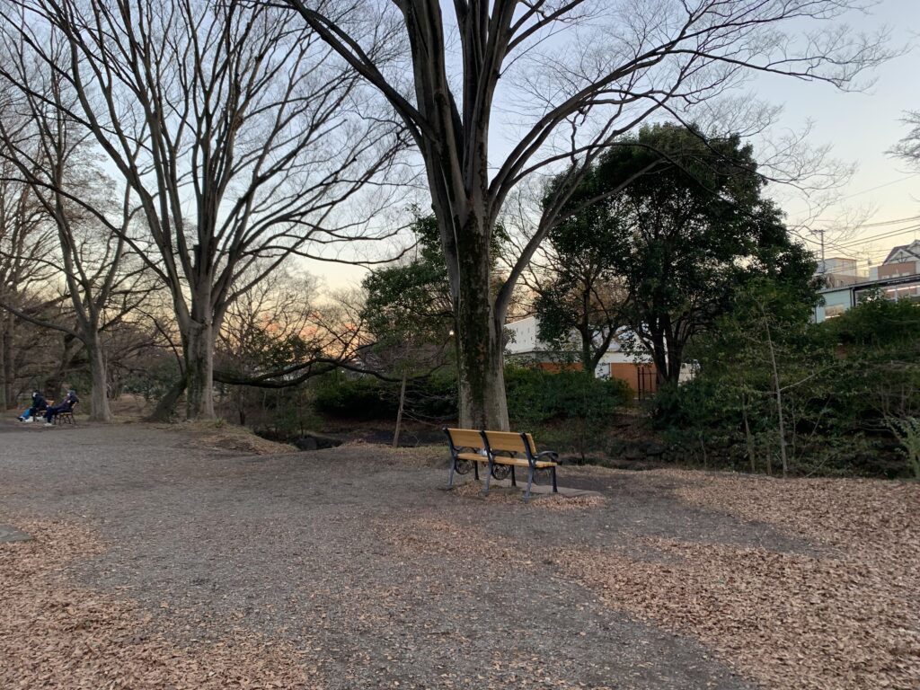 井の頭公園神田川沿いのベンチ